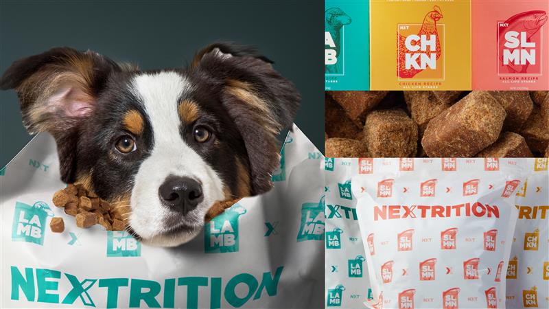 Nextrition Pet Food Brand identity strategy