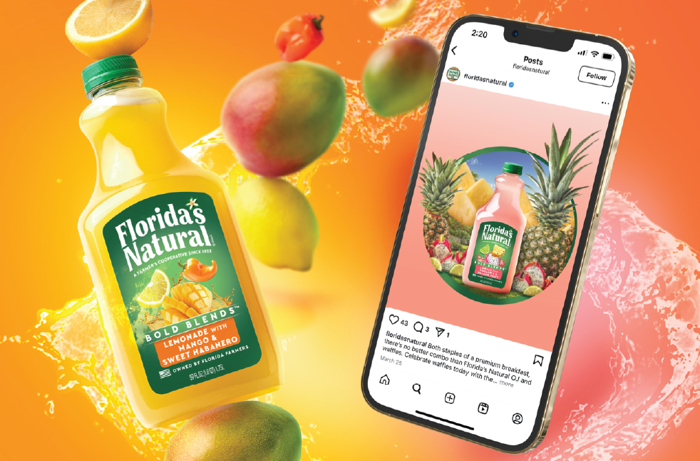 Florida's Natural Social Media Marketing Strategy and design