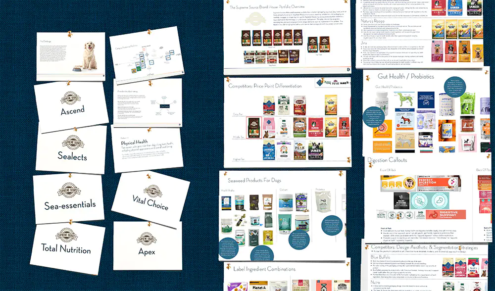 Brand Strategy Ideation